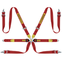 Sabelt 6-Point Harness Silver ENDURANCE GT/Rally (FIA8853/2016)